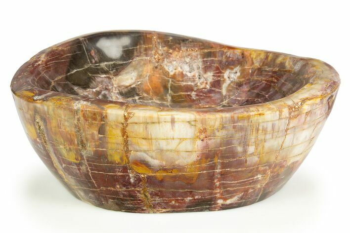 Polished Petrified Wood Bowl/Dish - Madagascar #304670